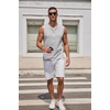 image:imageCOOFANDY Mens Tank Top Cotton Workout Sleeveless Muscle T Shirts Casual Summer Tank ShirtsLight Grey1 Pcs