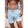 image:imageCOOFANDY 2 in 1 Mens Swim Trunks 7 Inch Quick Dry Board Shorts Beach Swim Shorts Bathing Suit with Compression LinerBlue Stripe