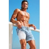 image:imageCOOFANDY 2 in 1 Mens Swim Trunks 7 Inch Quick Dry Board Shorts Beach Swim Shorts Bathing Suit with Compression LinerBlue Stripe