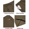 image:imageCOOFANDY Mens Casual Shorts Cotton Drawstring 9 inch Chino Shorts Stretch Elastic Waist Summer Beach Golf ShortsOlive Green