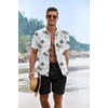 image:imageCOOFANDY Mens Summer Beach Outfits 2 Piece Short Sleeve Shirts and Shorts Vacation Texture Linen Sets for MenIsland Blue