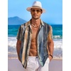 image:imageCOOFANDY Mens Hawaiian Shirt Short Sleeve Floral Button Down Shirts Tropical Holiday Beach ShirtsStriped  Oil Painting