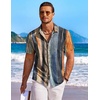 image:imageCOOFANDY Mens Hawaiian Shirt Short Sleeve Floral Button Down Shirts Tropical Holiday Beach ShirtsStriped  Oil Painting