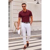 image:imageCOOFANDY Mens Knit Polo Shirts Casual Short Sleeve Button Down Polo Shirt Classic Golf ShirtsEwine Red White Striped