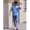 image:imageCOOFANDY Mens TShirts Short Sleeve Crew Neck T Shirts Casual Classic Basic Tee ShirtsLight Blue