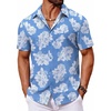 Light Blue - White Floral