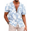 Light Blue Tropical