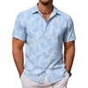 Sky Blue Palm Leaves