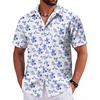 White - Blue Floral