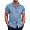 Blue Plaid