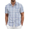 Blue White-plaid