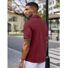 image:imageCOOFANDY Mens Casual Wrinkle Free Shirts Short Sleeve Button Down Summer Stretch Dress ShirtWine Red