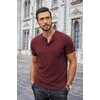image:imageCOOFANDY Mens Henley Shirts Short Sleeve Button T Shirt Casual Summer Basic Tee Tops with PocketWine