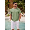 image:imageCOOFANDY Mens T Shirt Short Sleeve Classic Crew Neck TShirt Casual Summer Basic Tee ShirtsLight Green