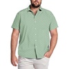 Light Green-anchor