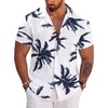 White-coconut Tree