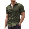 Olive Green