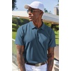image:imageCOOFANDY Mens Cotton Polo Shirt Short Sleeve Golf Shirts 3 Buttons Casual Work T ShirtsGrayish Blue
