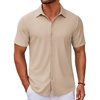 Light Khaki