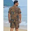 image:imageCOOFANDY Mens Hawaiian Matching Set Summer Beach 2 Piece Outfits Flower Button Down Shirts and Shorts Vacation Outfits01hand Painted Flowers