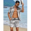 image:imageCOOFANDY Mens Hawaiian Matching Set Summer Beach 2 Piece Outfits Flower Button Down Shirts and Shorts Vacation OutfitsBlack and White Stripes