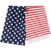 Print American Flag 2