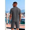 image:imageCOOFANDY Mens 2 Piece Set Summer Beach Vacation Outfits Quarter Zip Polo Shirt and Shorts SetsDark Gray