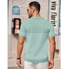 image:imageCOOFANDY Mens Short Sleeve Polo Shirts Vintage Knitted Shirt Casual Button Down Golf ShirtsIce Green White Stripes