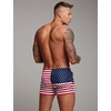 image:imageCOOFANDY Mens Swim Trunk Quick Dry Swimwear Mesh Lining Bathing Suit Swimsuit Board Beach Sport ShortAmerican Flag a