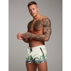 image:imageCOOFANDY Mens Swim Trunk Quick Dry Swimwear Mesh Lining Bathing Suit Swimsuit Board Beach Sport ShortGreen Leaves