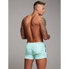 image:imageCOOFANDY Mens Swim Trunk Quick Dry Swimwear Mesh Lining Bathing Suit Swimsuit Board Beach Sport ShortGreen White Stripe