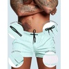 image:imageCOOFANDY Mens Swim Trunk Quick Dry Swimwear Mesh Lining Bathing Suit Swimsuit Board Beach Sport ShortGreen White Stripe