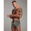 image:imageCOOFANDY Mens Swim Trunk Quick Dry Swimwear Mesh Lining Bathing Suit Swimsuit Board Beach Sport ShortLeopard Print