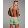 image:imageCOOFANDY Mens Swim Trunk Quick Dry Swimwear Mesh Lining Bathing Suit Swimsuit Board Beach Sport ShortLight Green Leaves
