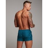image:imageCOOFANDY Mens Swim Trunk Quick Dry Swimwear Mesh Lining Bathing Suit Swimsuit Board Beach Sport ShortPeacock Blue