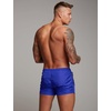image:imageCOOFANDY Mens Swim Trunk Quick Dry Swimwear Mesh Lining Bathing Suit Swimsuit Board Beach Sport ShortSky Blue