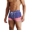 Pattern4 - American Flag