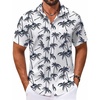 White-coconut Tree