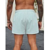 image:imageCOOFANDY Mens Swim Trunks Quick Dry Bathing Suit with Pockets Swimwear Beach Board Short Swimsuit SXXLGreen White Stripe