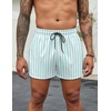 image:imageCOOFANDY Mens Swim Trunks Quick Dry Bathing Suit with Pockets Swimwear Beach Board Short Swimsuit SXXLGreen White Stripe