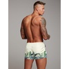 image:imageCOOFANDY Mens Swim Trunk Quick Dry Swimwear Mesh Lining Bathing SuitGreen Leaves