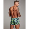 image:imageCOOFANDY Mens Swim Trunk Quick Dry Swimwear Mesh Lining Bathing SuitGreen Monstera