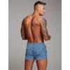 image:imageCOOFANDY Mens Swim Trunk Quick Dry Swimwear Mesh Lining Bathing SuitLight Blue Leaves