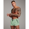 image:imageCOOFANDY Mens Swim Trunk Quick Dry Swimwear Mesh Lining Bathing SuitLight Green Leaves