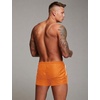 image:imageCOOFANDY Mens Swim Trunk Quick Dry Swimwear Mesh Lining Bathing SuitOrange