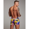 image:imageCOOFANDY Mens Swim Trunk Quick Dry Swimwear Mesh Lining Bathing SuitOrange Coconut Tree