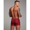 image:imageCOOFANDY Mens Swim Trunk Quick Dry Swimwear Mesh Lining Bathing SuitRed