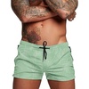 image:imageCOOFANDY Mens Swim Trunk Quick Dry Swimwear Mesh Lining Bathing SuitLight Green Leaves