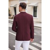 image:imageCOOFANDY Mens Casual Blazer Two Button Sport Coats Lightweight Printed Lining Suit JacketDark Red