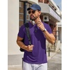 image:imageCOOFANDY Mens T Shirt Short Sleeve Casual TShirts Crew Neck Basic Tee ShirtsPurple